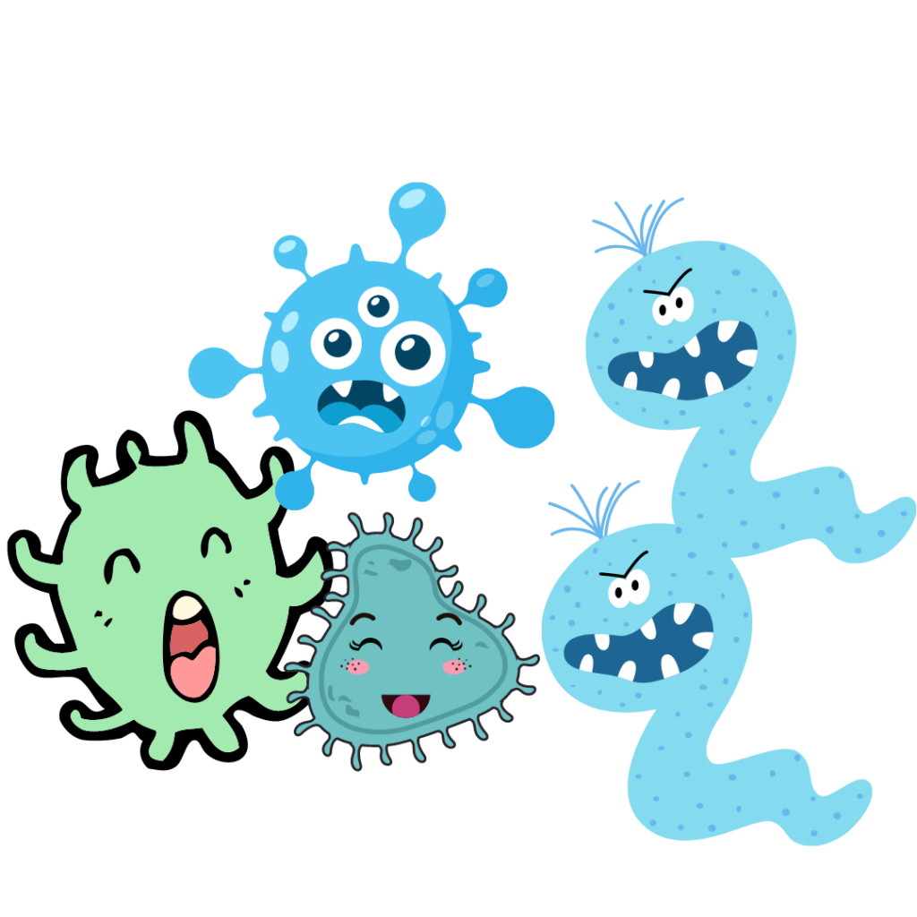 Sometimes opportunistic bacteria can overwhelm good bacteria causing inflammation.